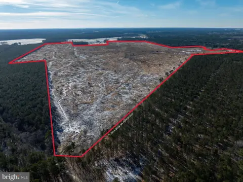 292.8 Acres of Timberland