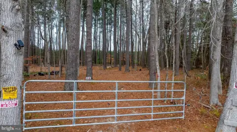 Westover, MD Wooded Lot