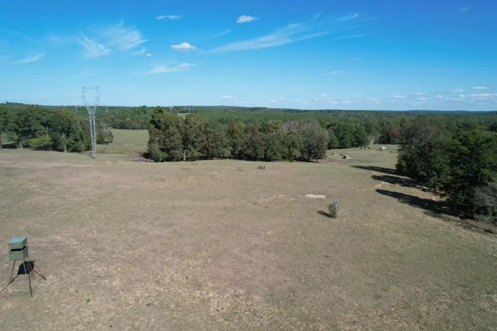 Picture 12