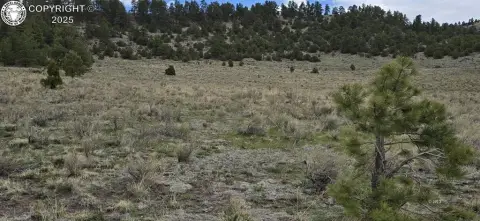 40-Acre Horse-Ready Land