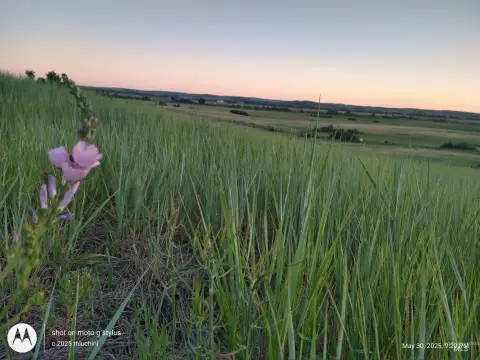 Idaho Land with Expansive Views