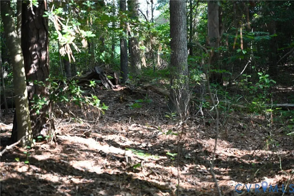 Picture 25