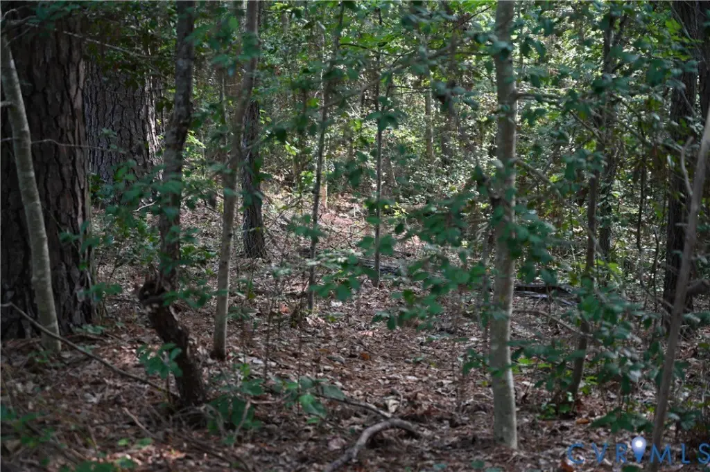Picture 27
