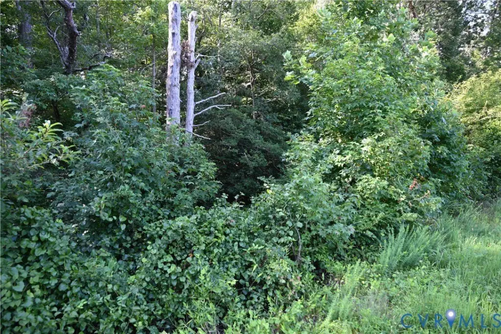 Picture 34