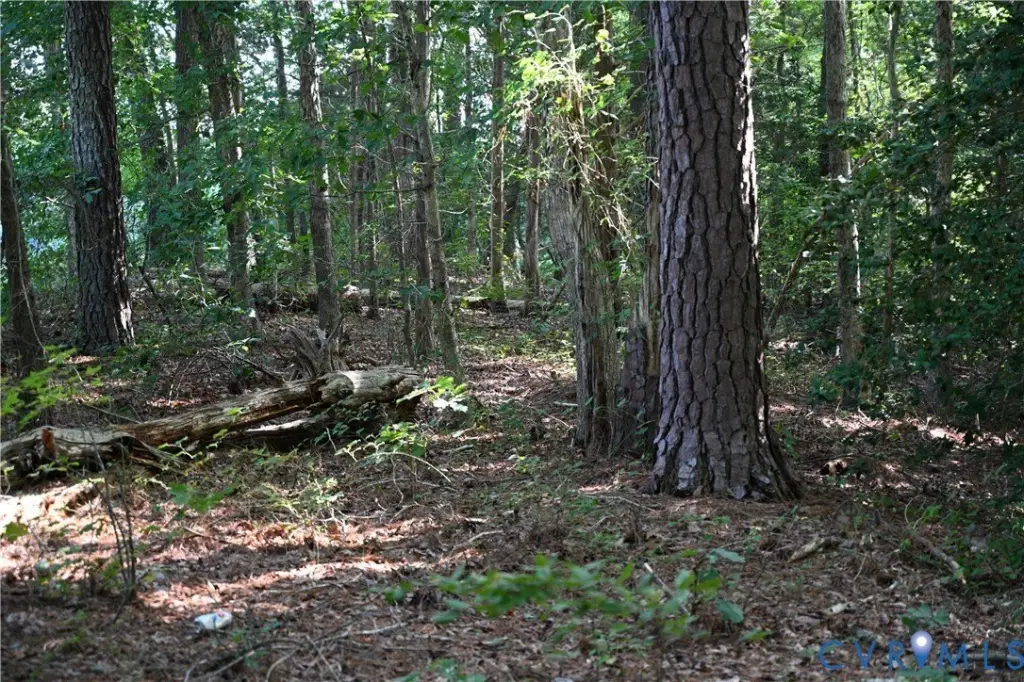 Picture 28