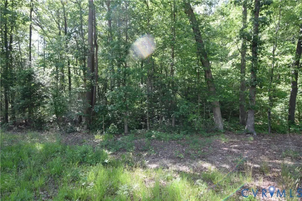 Picture 24