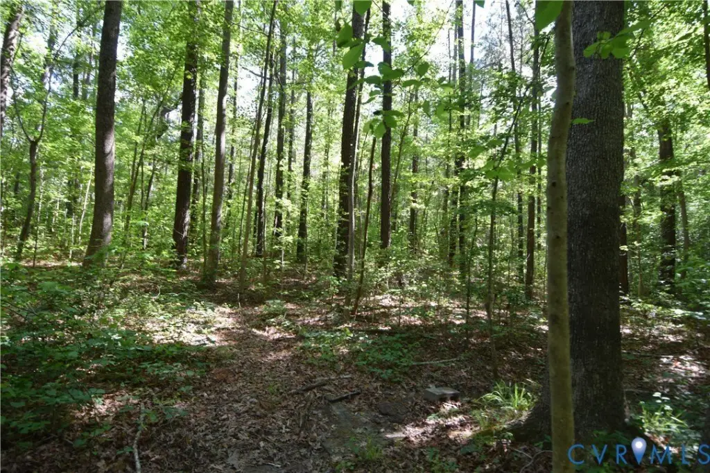 Picture 29