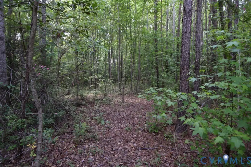 Picture 25