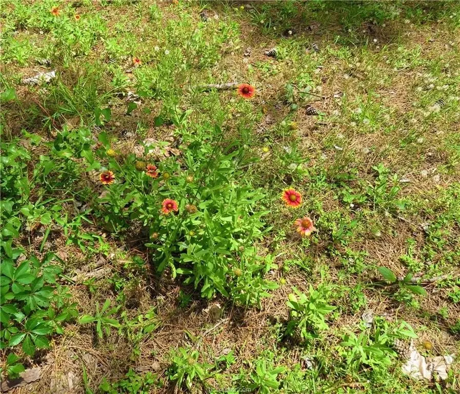 Picture 7