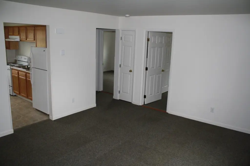 Picture 3