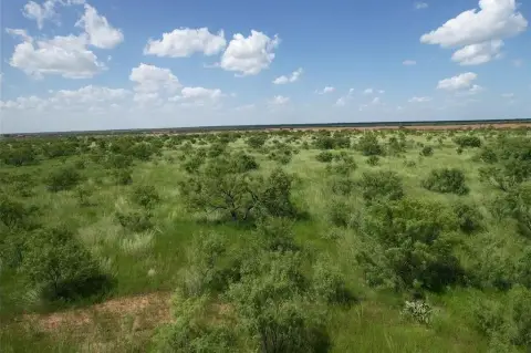 Unrestricted Land Near Hawley, TX
