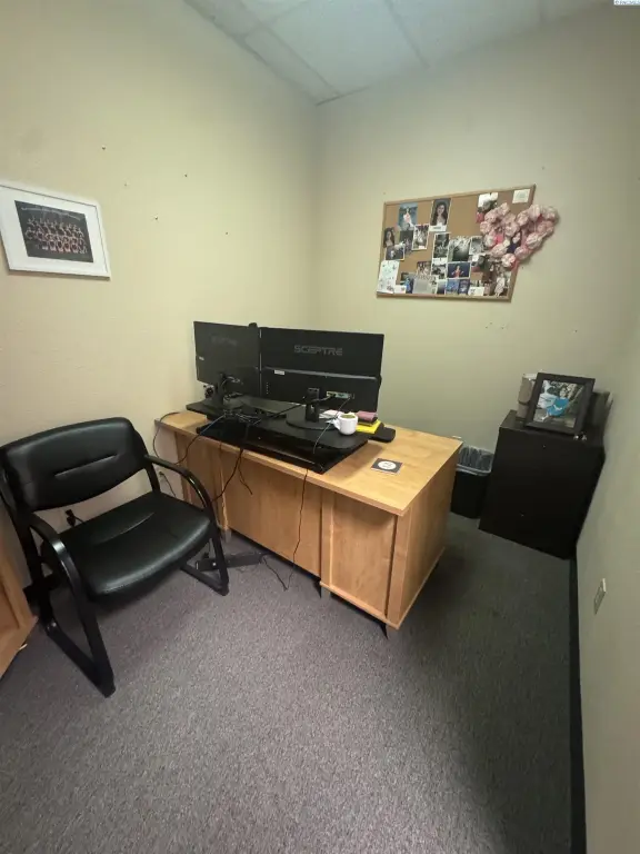Picture 11