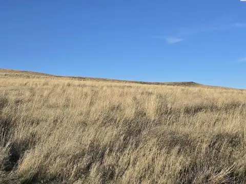 Mabton Agricultural Land For Sale