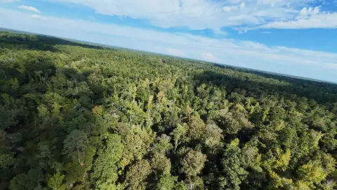 40 Acres of Untouched Land