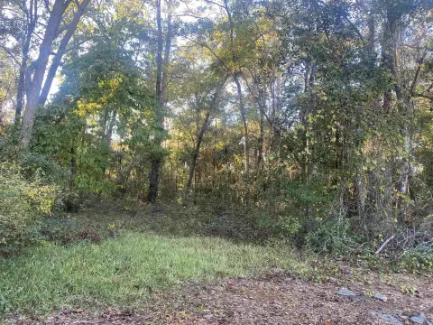 Tallahassee Wooded Lot For Sale