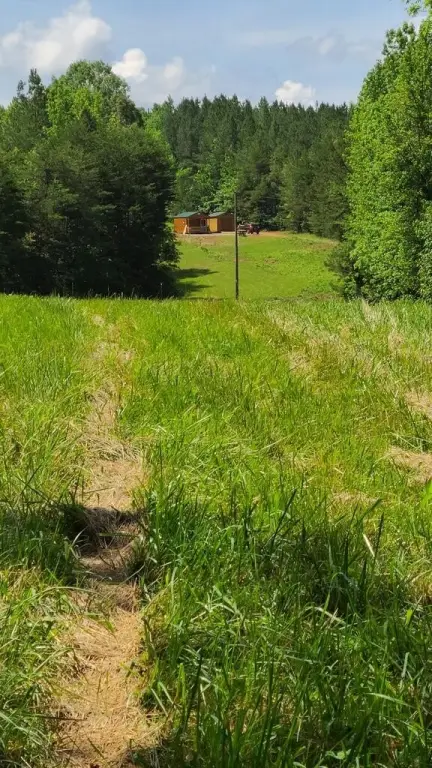 Picture 14