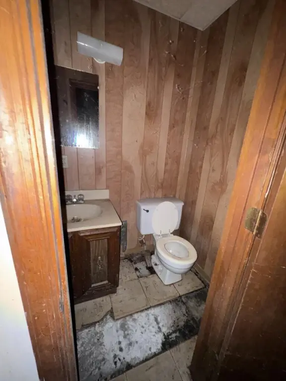 Picture 39