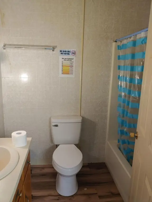 Picture 19