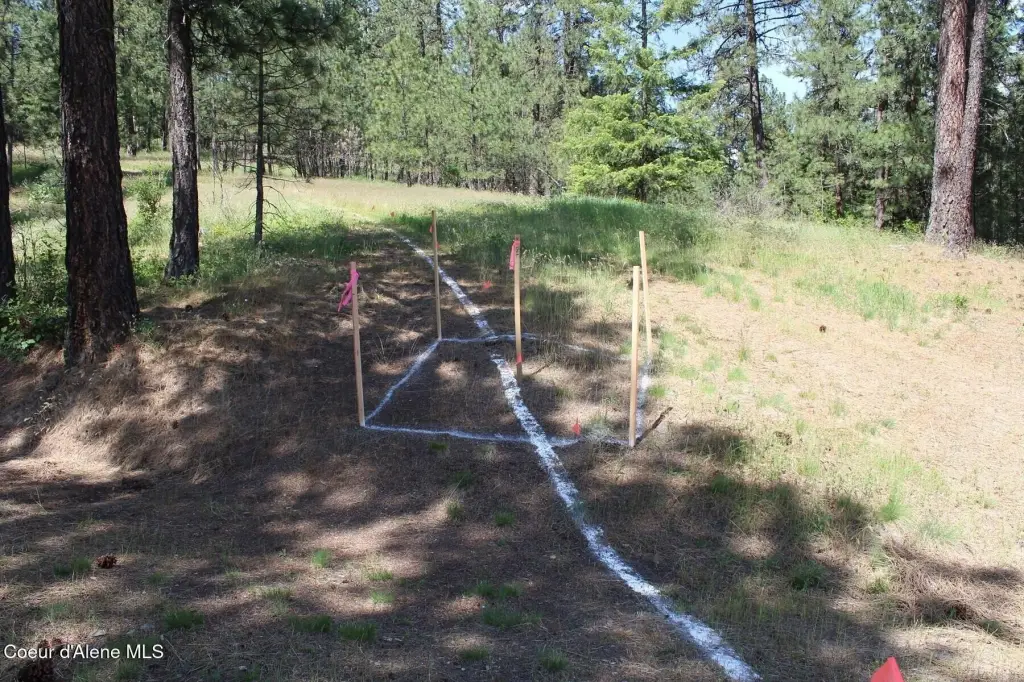 Picture 42