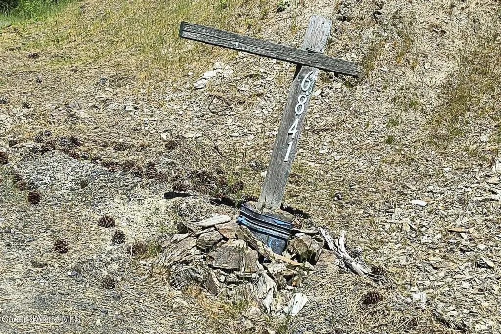 Picture 51