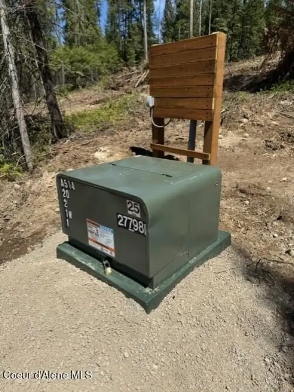 Picture 4
