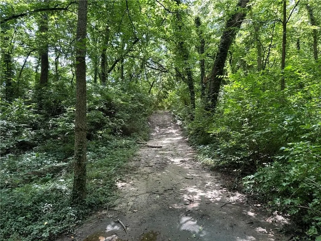 Picture 17