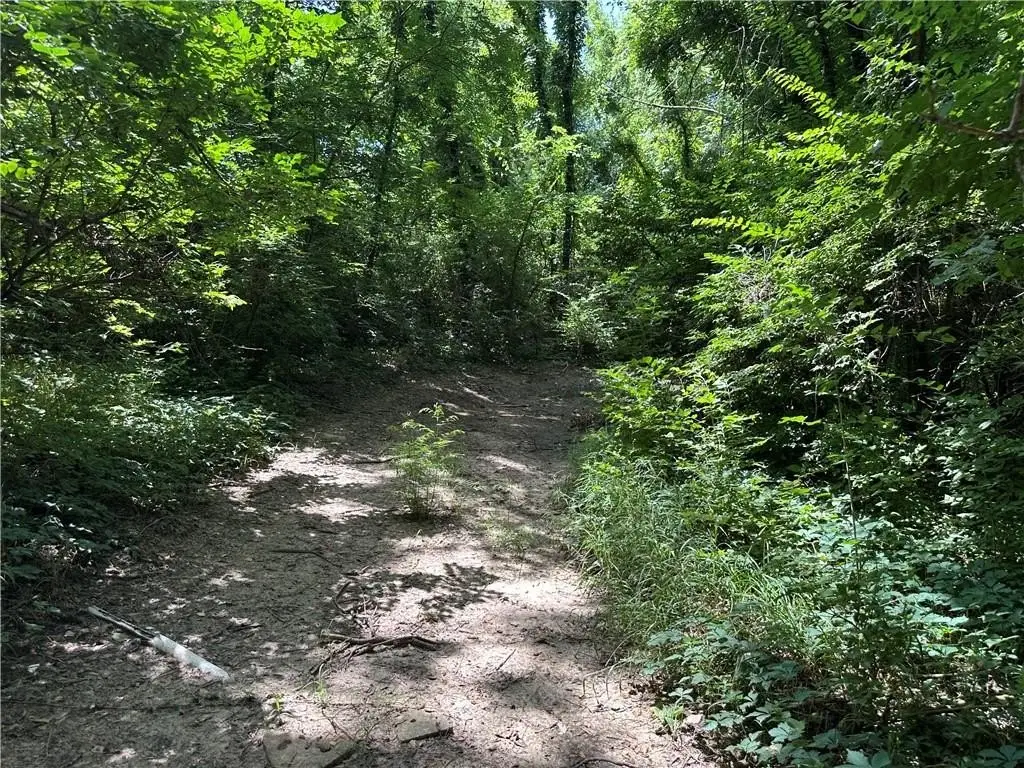 Picture 16