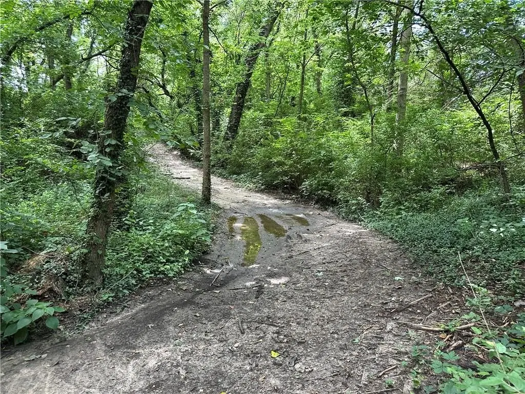 Picture 18