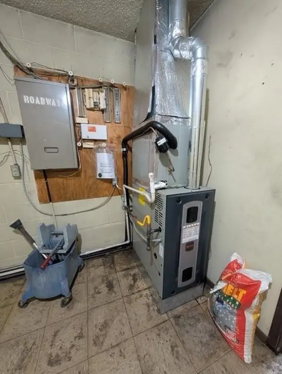 Picture 20