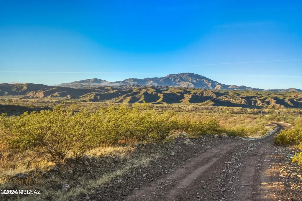Picture 4