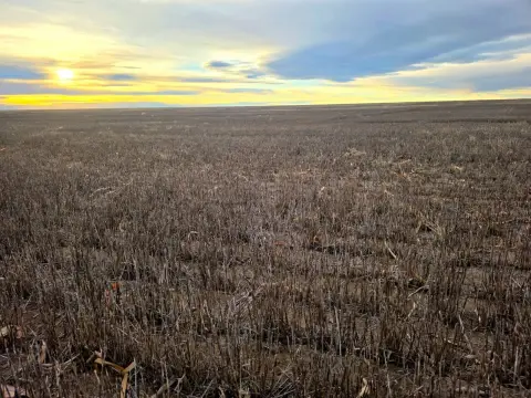 Turn-Key Cropland Quarter in Yuma, CO