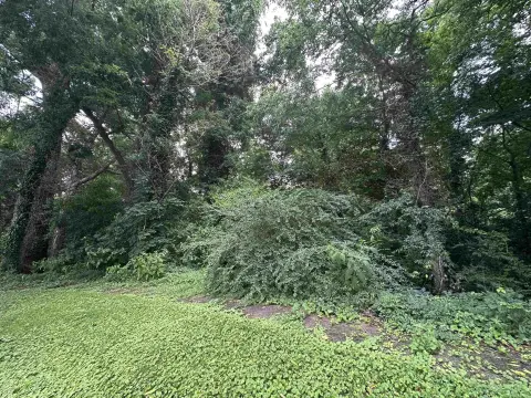 Residential Lot with Lake View