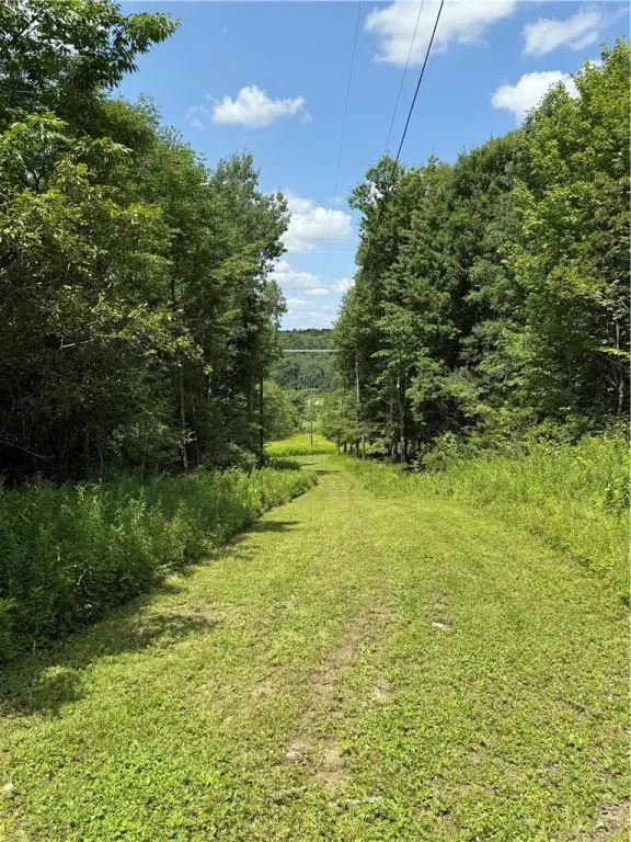 Picture 20