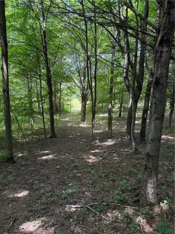 Picture 29