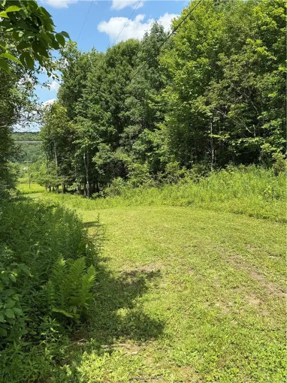 Picture 21