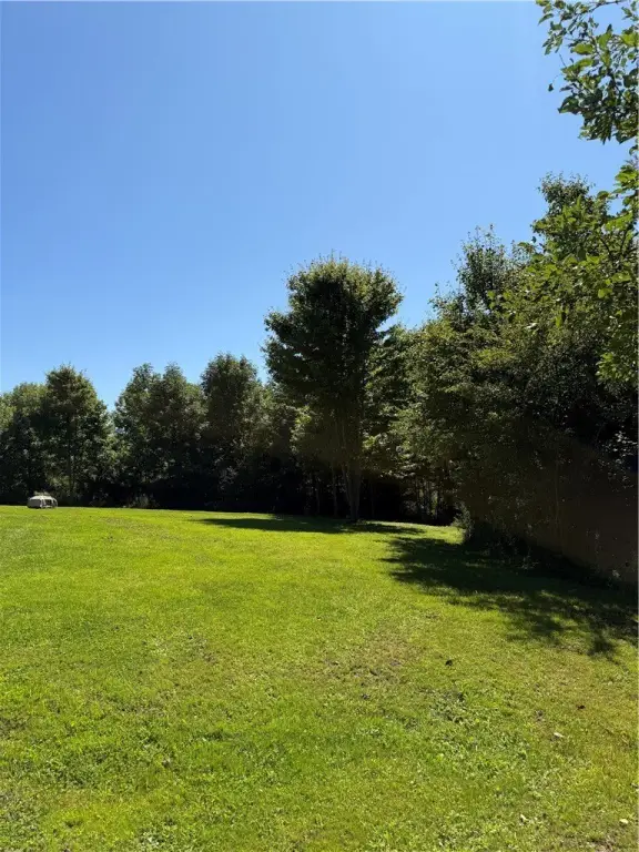 Picture 19