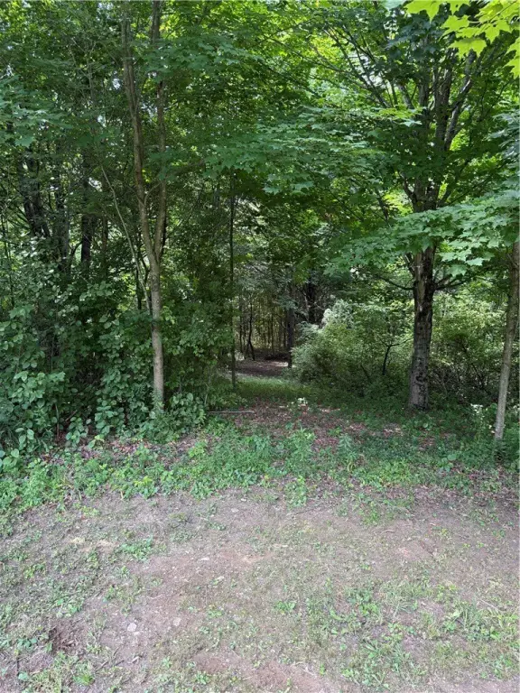 Picture 23