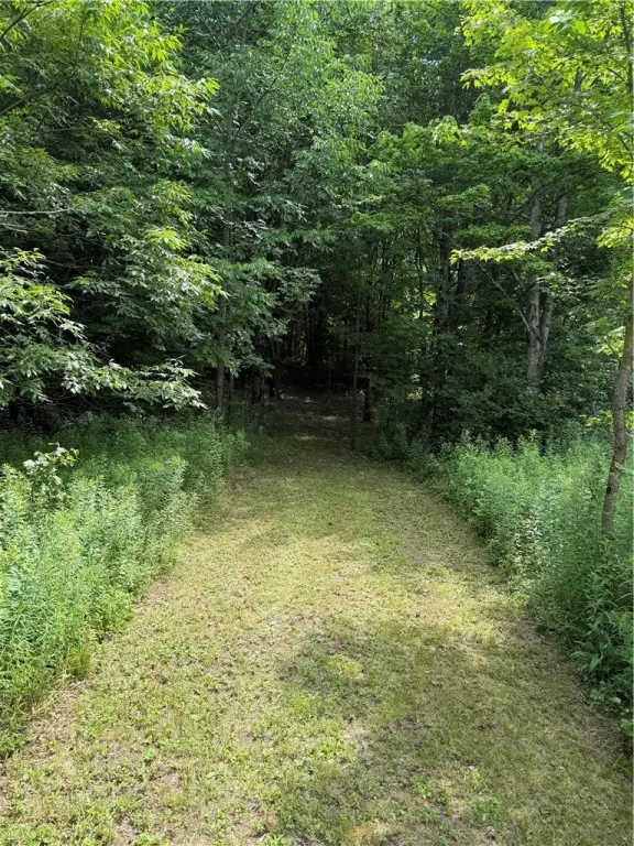 Picture 22