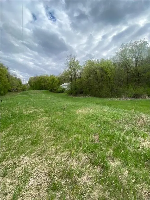 Picture 15