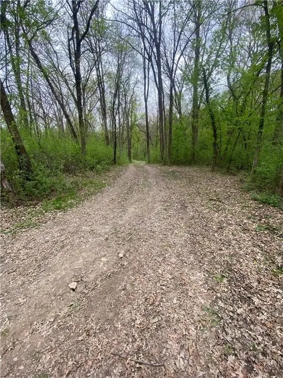 Picture 8