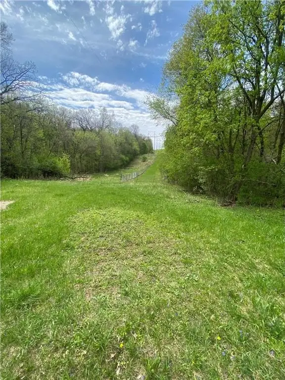 Picture 19