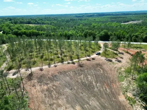 Cleared Land Near Troy, AL