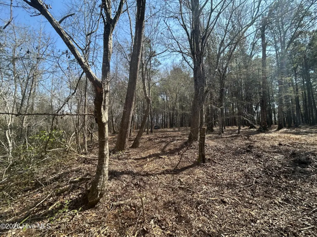 Picture 10