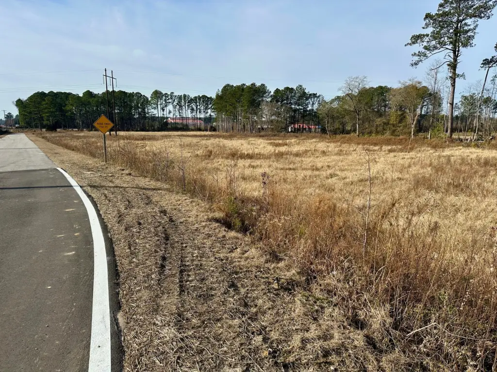 Picture 8
