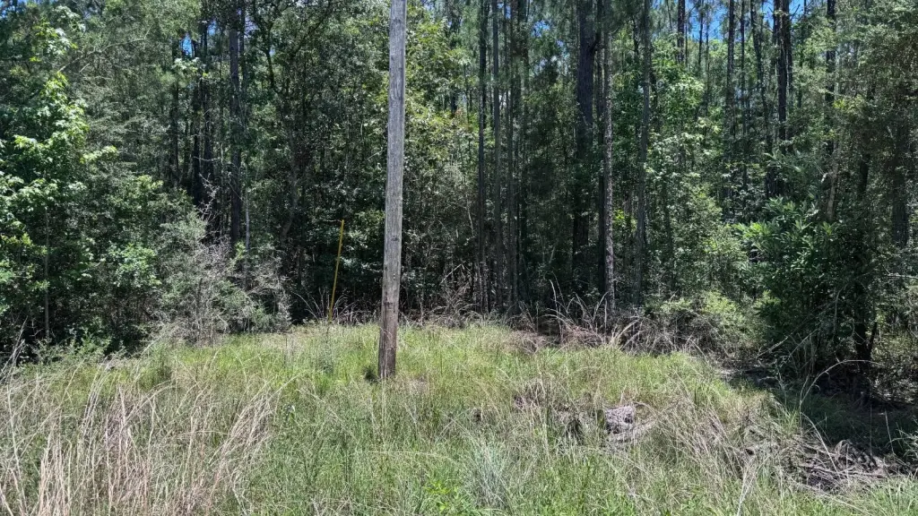 Picture 16