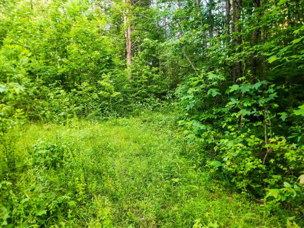 Picture 16