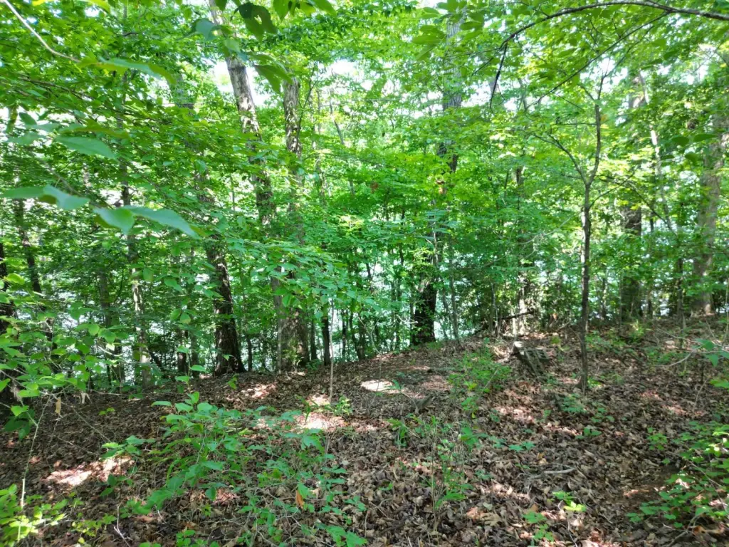 Picture 8