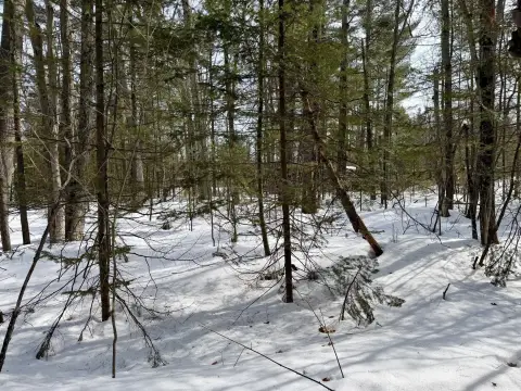 Wooded Recreation Land