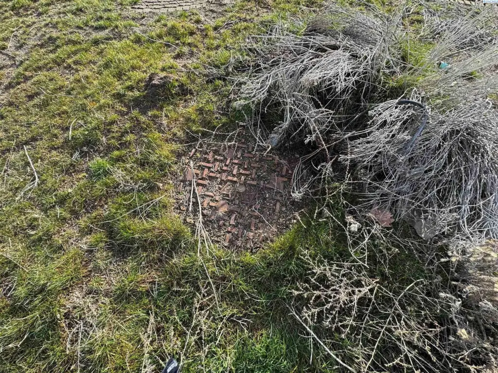 Picture 5