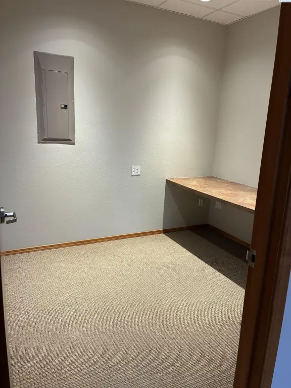 Picture 5